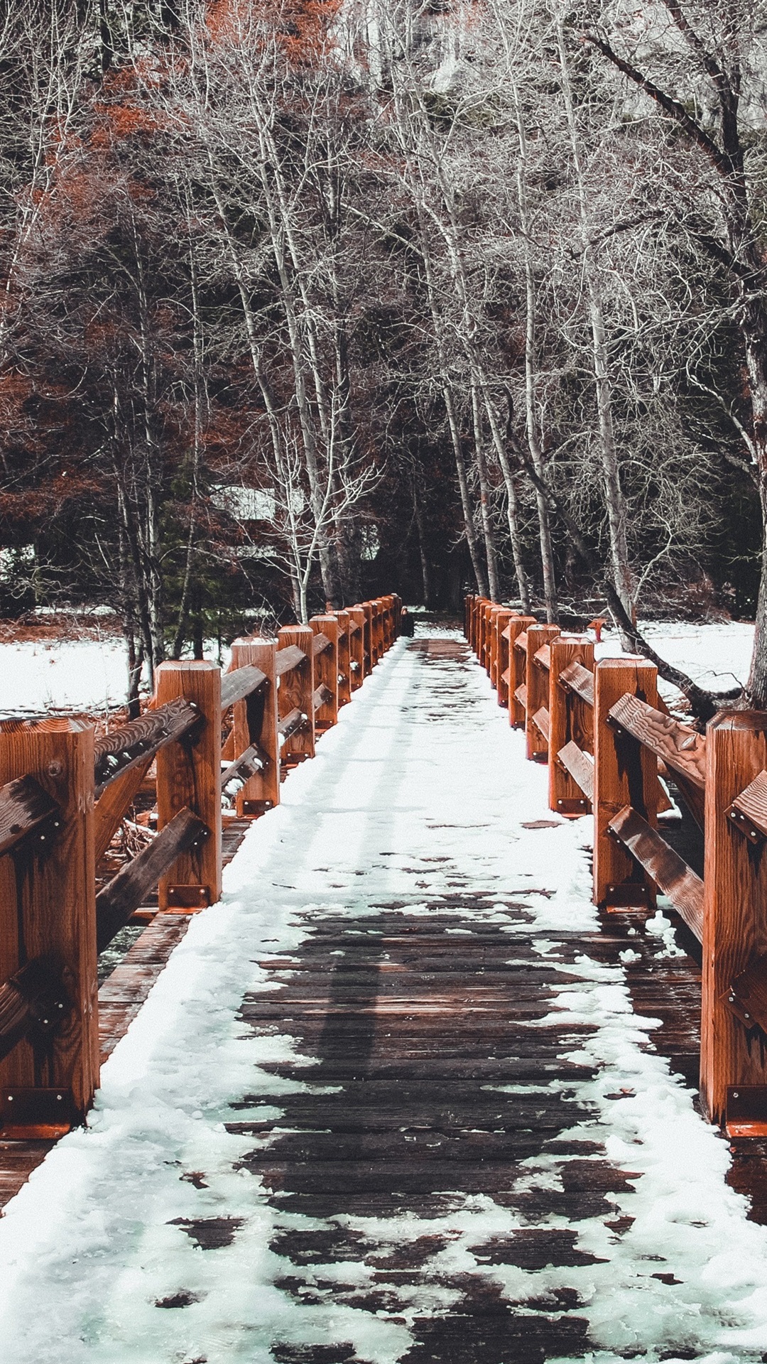 木桥,雪,树,冬天iphone壁纸