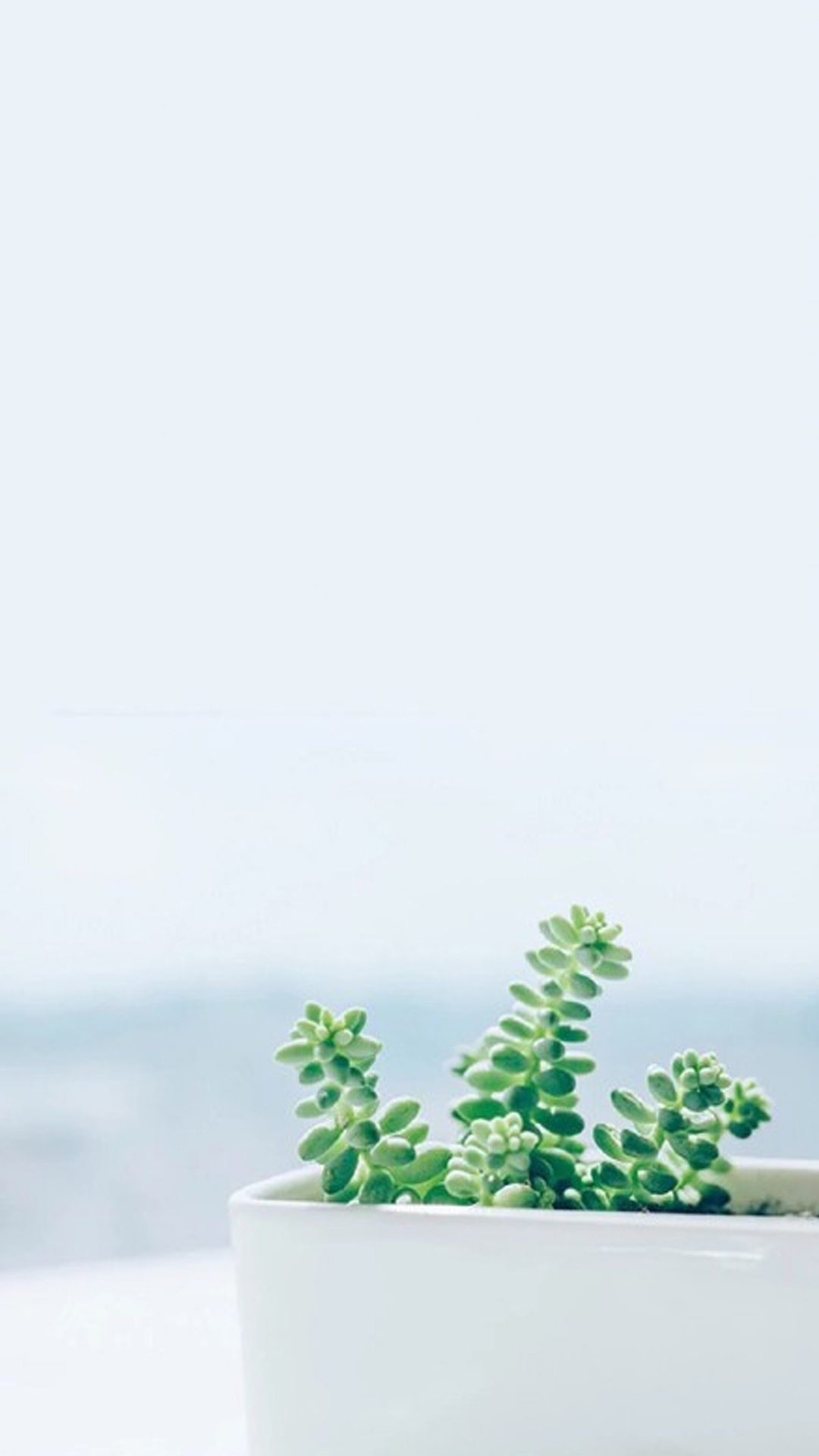 小型的绿色植物高清手机壁纸