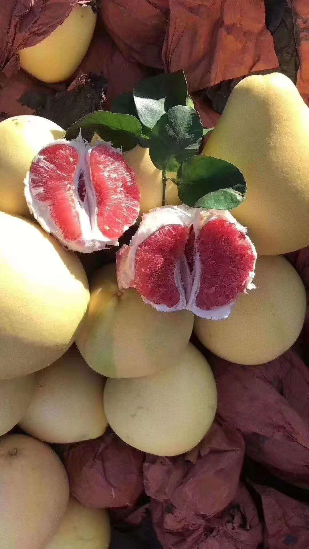 [红心柚批发]产地梅州红柚价格元斤一亩田