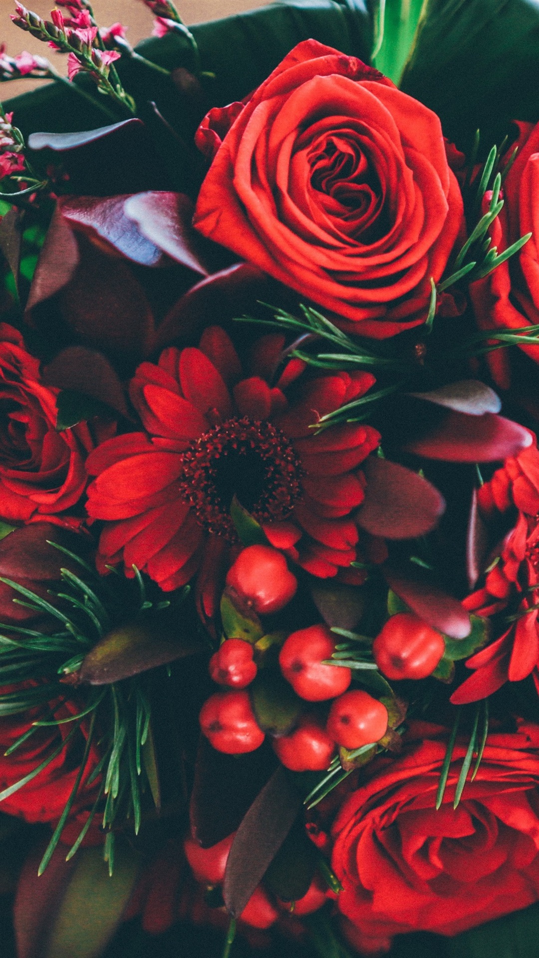 红色的花朵,玫瑰,洋甘菊,花束iphone壁纸