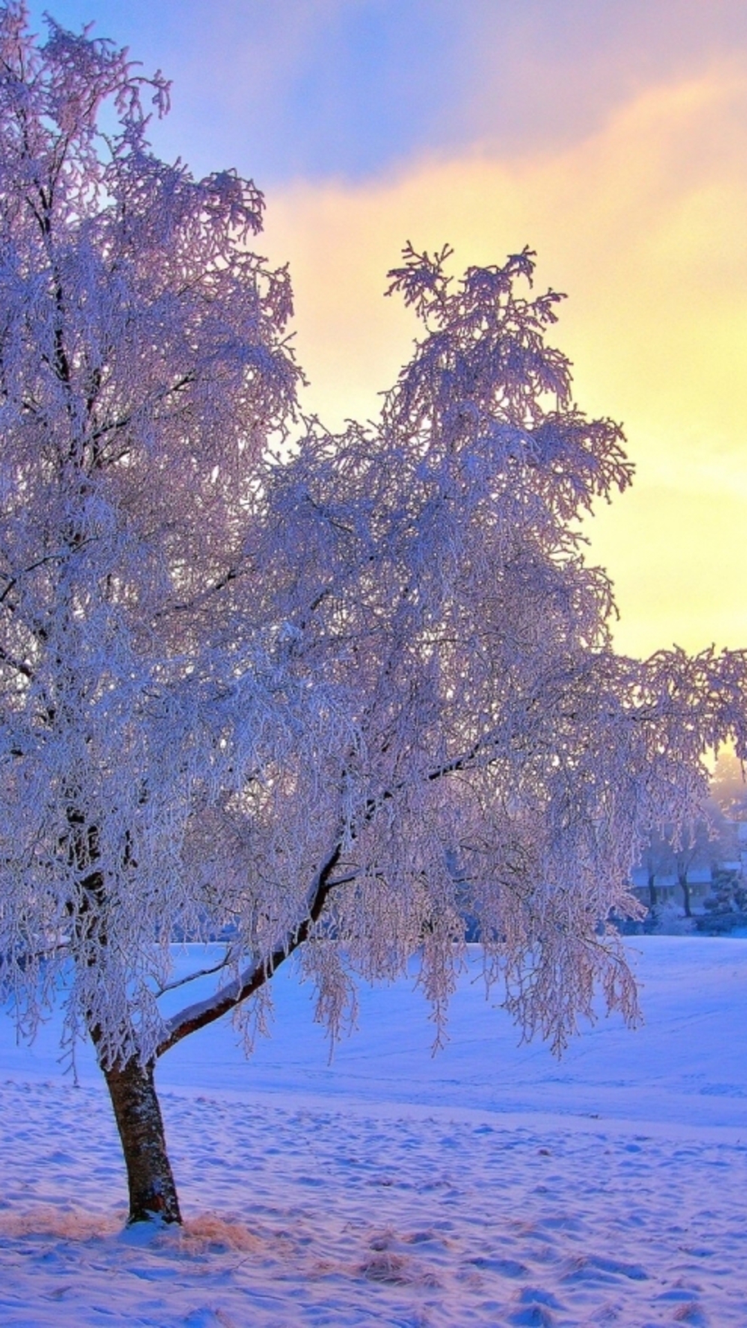 唯美夕阳雪景自然风光手机壁纸下载