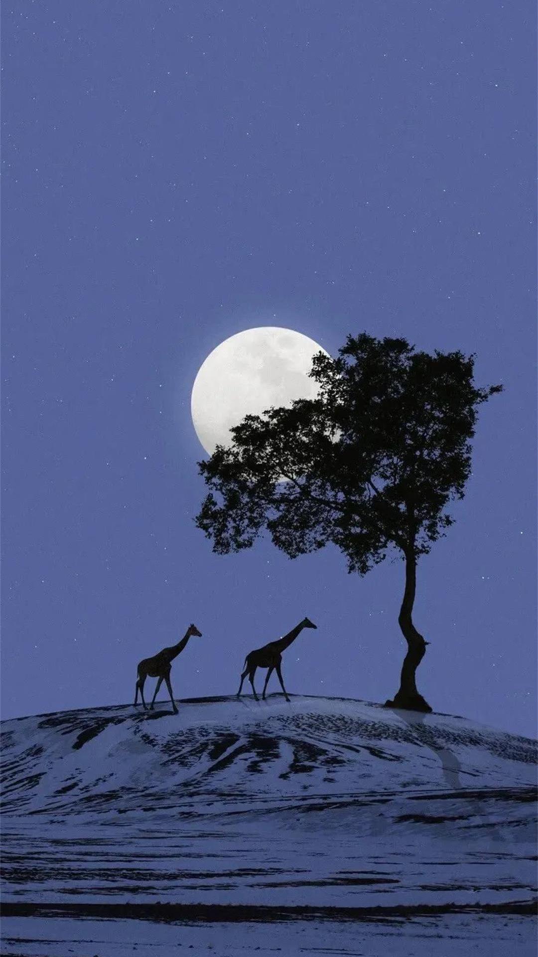 月亮,树,长颈鹿,唯美,风景,自然