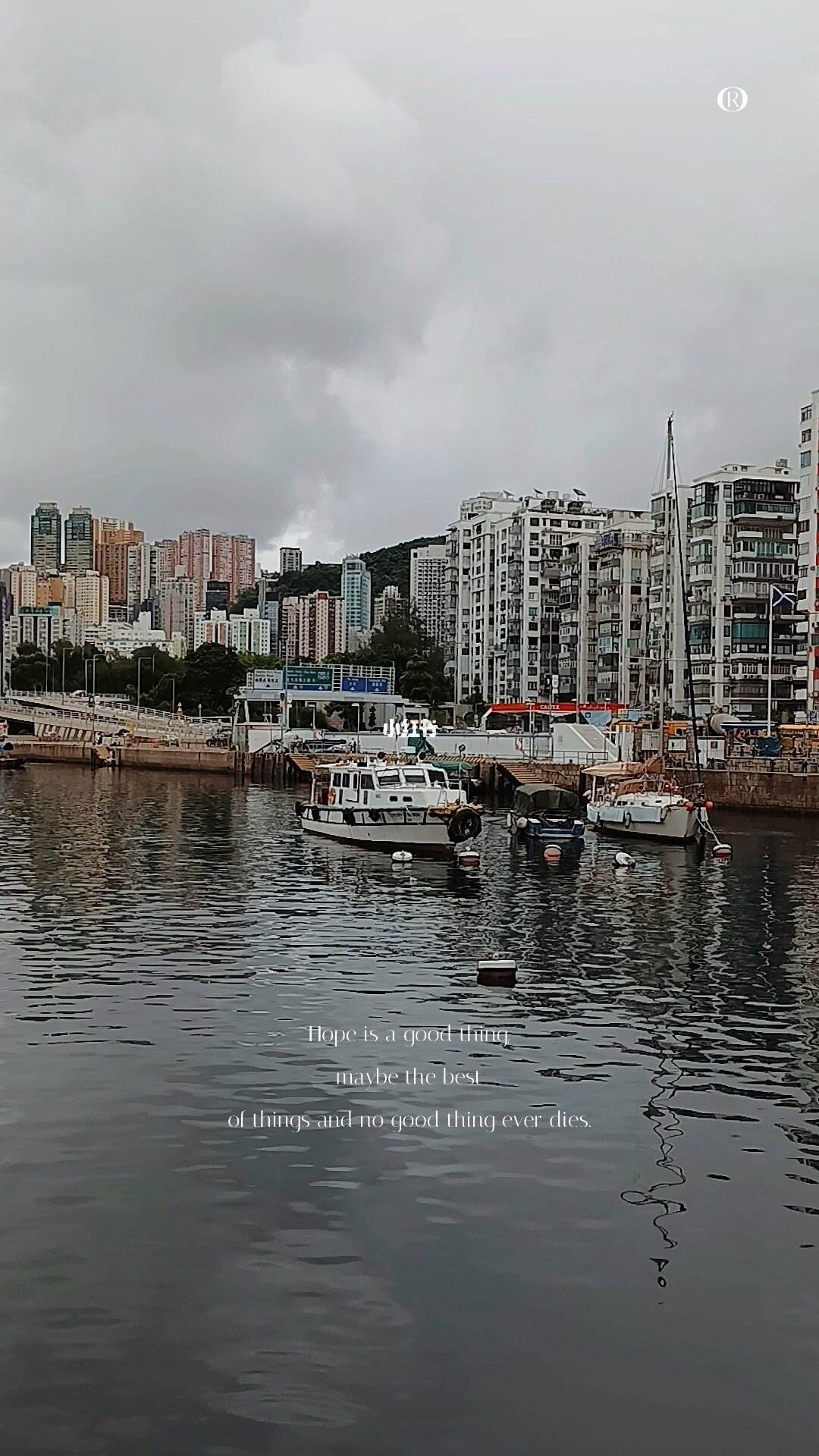 香港铜锣湾避风塘海旁