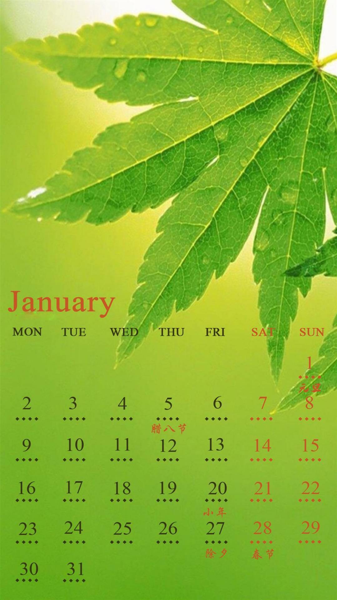 年月绿色植物日历,高清图片,手机锁屏桌面壁纸族