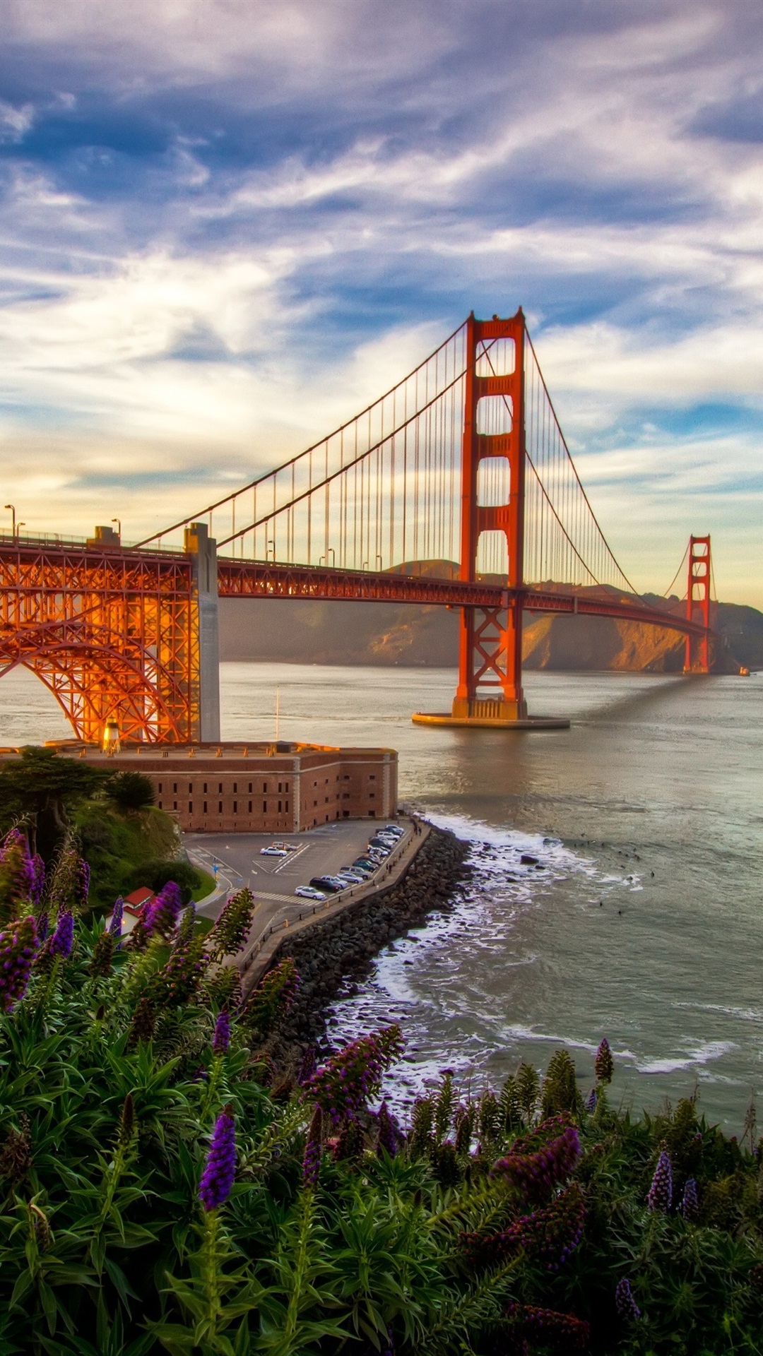 旧金山,桥,海,加利福尼亚,美国iphone壁纸