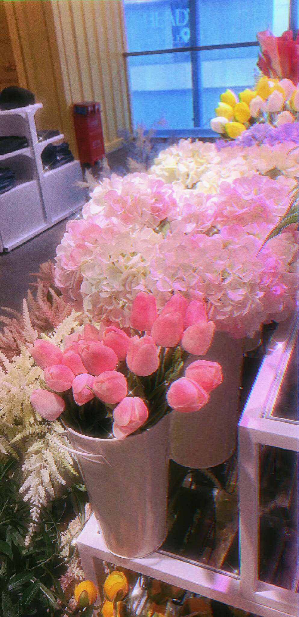 那就祝你我有数不尽的鲜花和浪漫用日语怎么说，那就祝你我有数不尽的鲜花和浪漫怎么回复