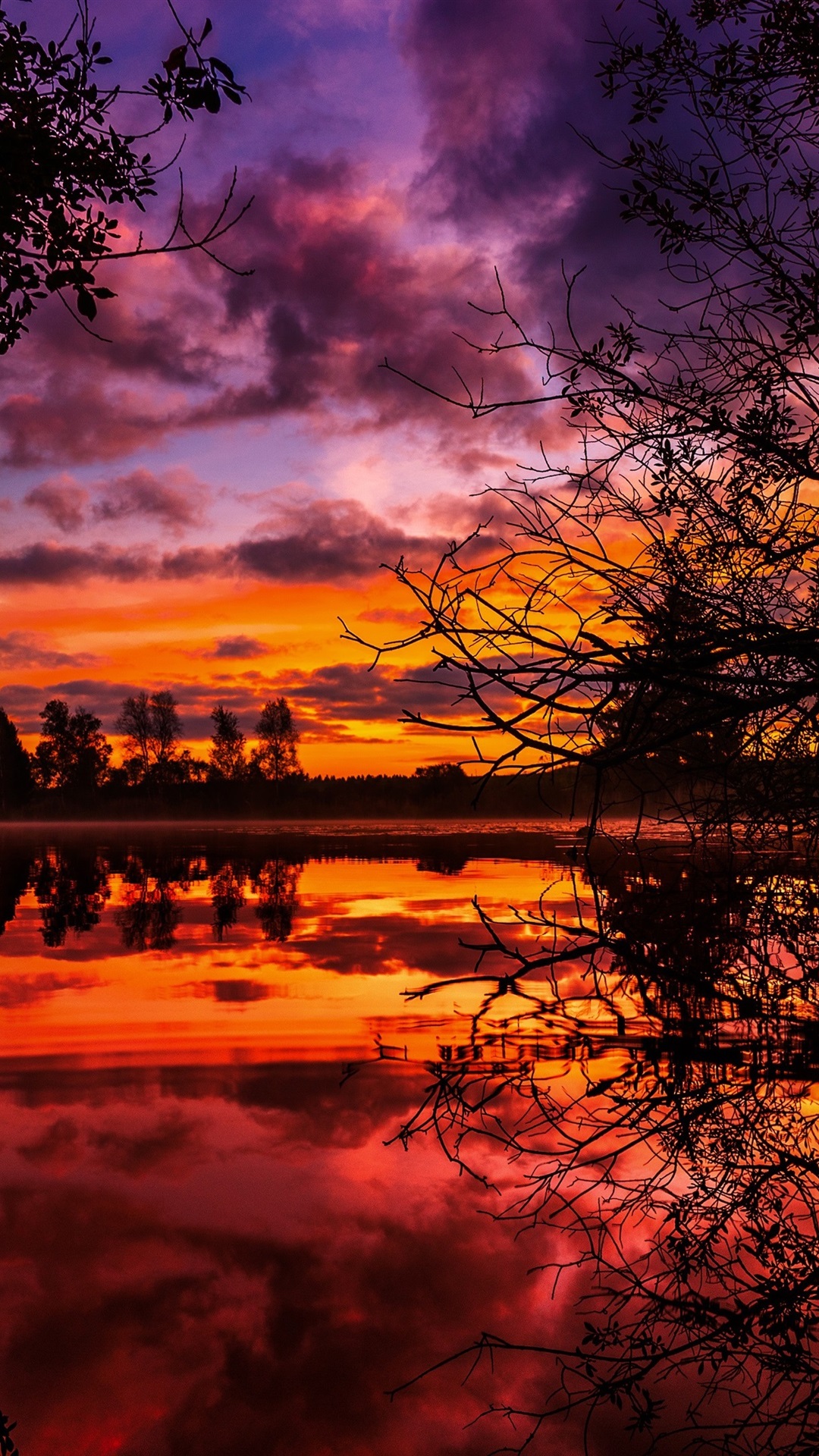 湖,云,树,树枝,日落,红色的天空iphone壁纸