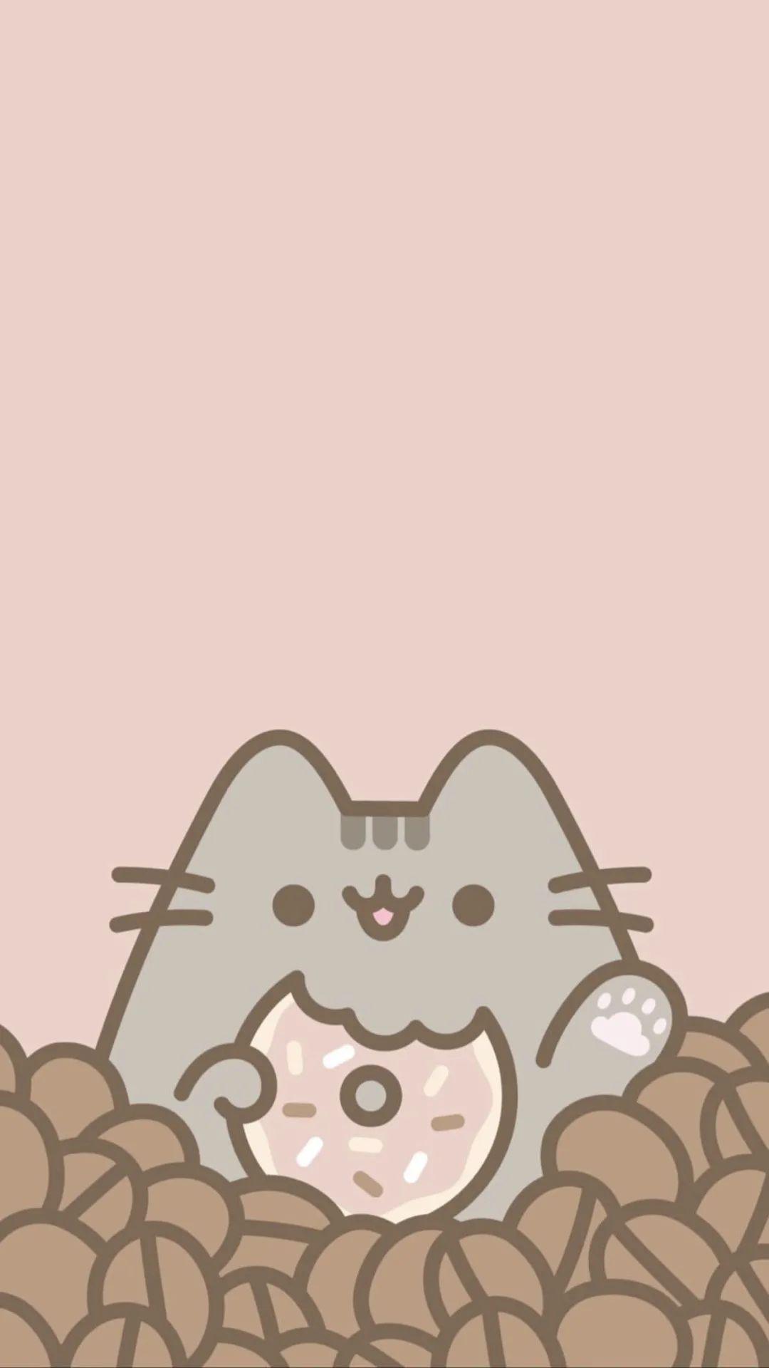 呆萌模样让人受不了张超可爱胖吉猫主题手机壁纸好想可以吸猫啊