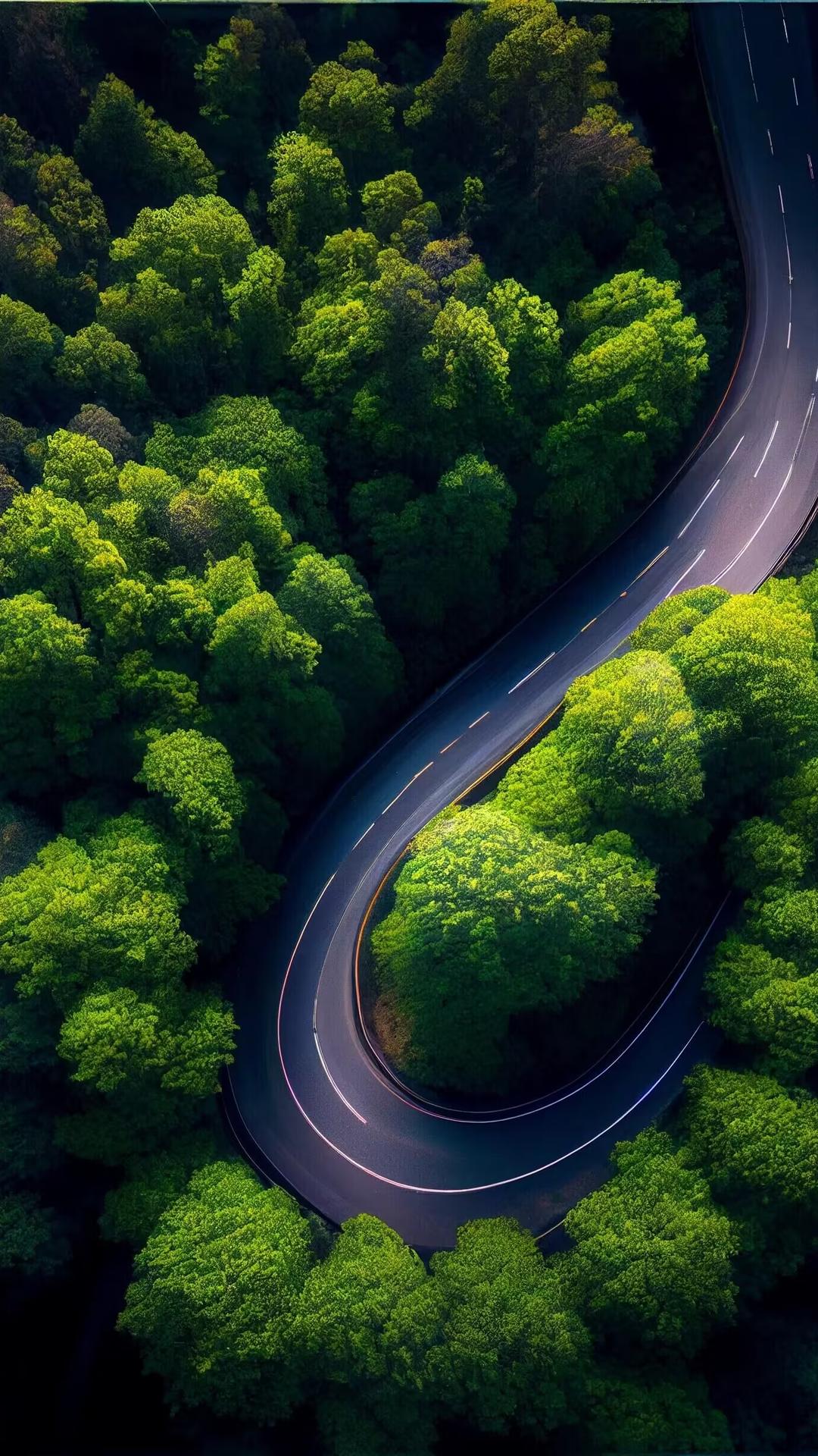 公路,树林,自然,绿色